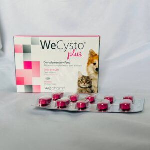WeCysto Plus