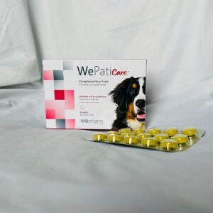 WePatiCare